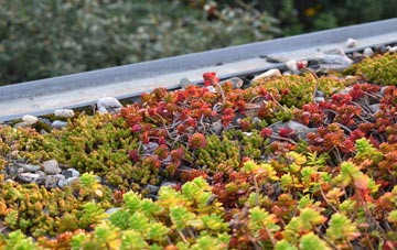the cost of Island Carr green roof installation
