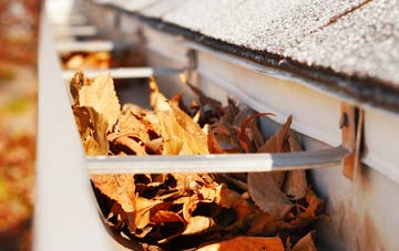 Island Carr gutter cleaning companies