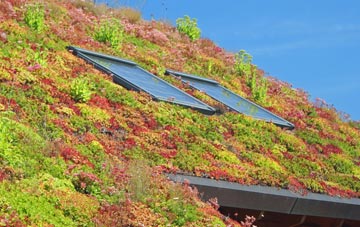 Island Carr living roof systems